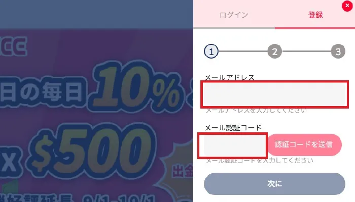 ヴィトエースカジノの登録手順2