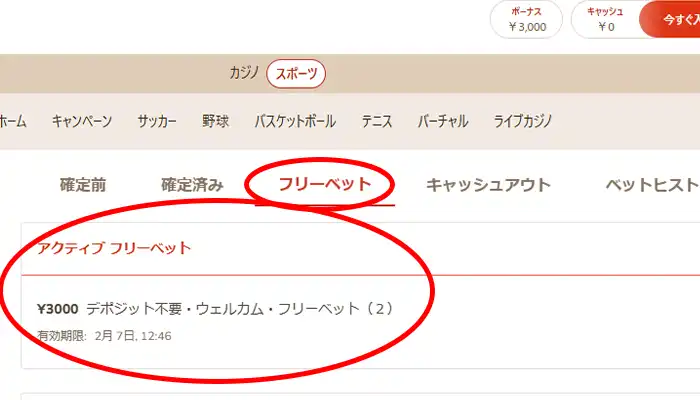 遊雅堂アクティブフリーベット